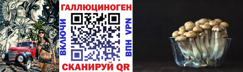 Галлюциногенные грибы Psilocybine cubensis  даркнет сайт  Ростов-на-Дону 